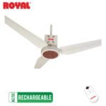 rechargeable fan off white color with brown plate and remote control