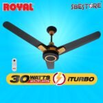 black ambassador 30 watt ceiling fan with golden color