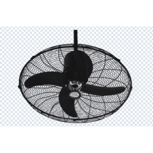 Royal Deluxe Circo Fan 18 Inch – High Speed | Copper Motor | Adjustable Air Circulator Fan