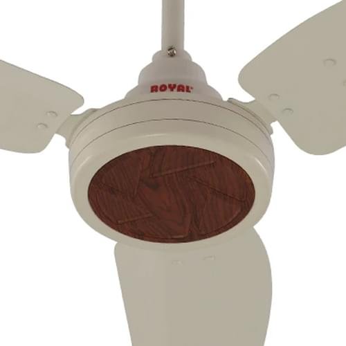 Royal Ceiling Fan 56Inch Passion GRACE Copper