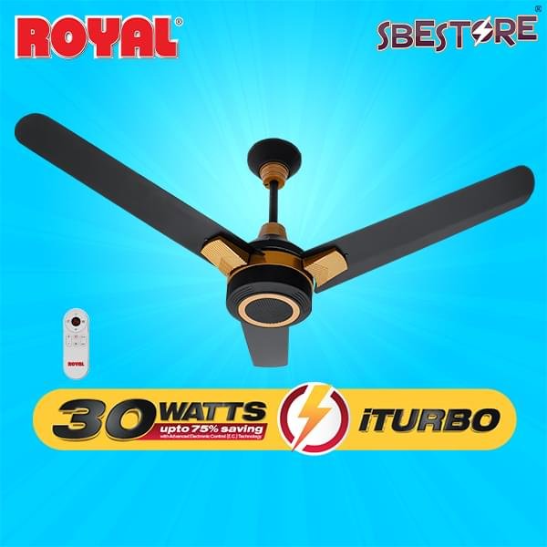black ambassador 30 watt ceiling fan with golden color